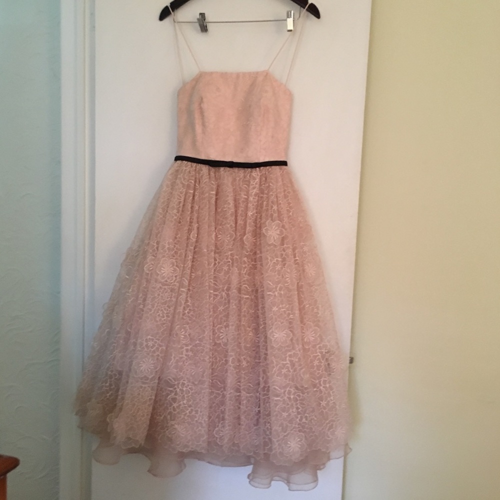 NWT blush ERIN by Erin Fetherson dress size 2